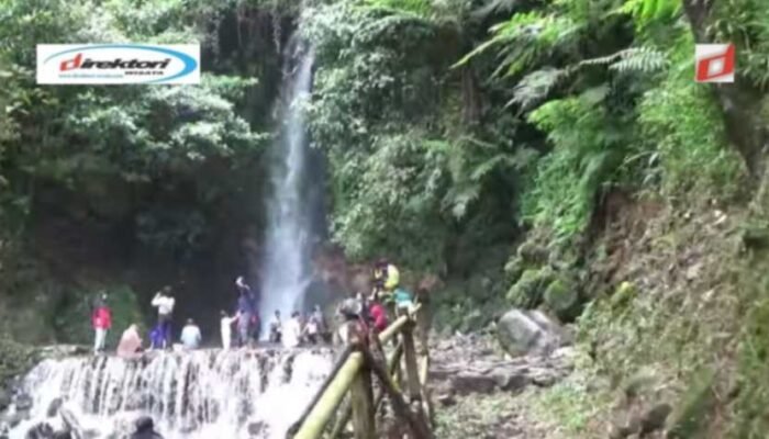 Curug Ngumpet, Daya tarik Air Terjun Eksotik yang Super Jernih di Bogor