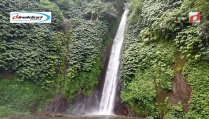 Daya Ambil Object Wisata Air Terjun Melanting Di Banjar Buleleng Bali