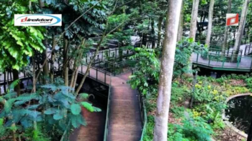 Sarana yang Ada di Teritori Wisata Forest Walk Bandung