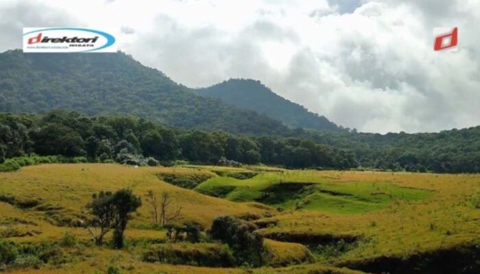 Savana Tegal Panjang, Daya tarik Padang Savana yang Mempesona di Bandung