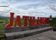 Desa Jatiluwih Bali, Wisata Air Terjun Sampai Sawah Terasering yang Mengagumkan