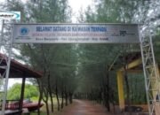 Mangrove Ujungpangkah, Wisata Rimba dengan Panorama Eksotis dan Menarik di Gresik