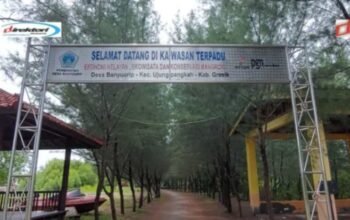 Mangrove Ujungpangkah, Wisata Rimba dengan Panorama Eksotis dan Menarik di Gresik