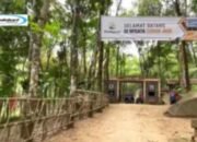 Coban Jahe Malang, Air Terjun Eksotik yang Penuh Nilai Sejarah