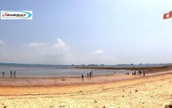 Pantai Tanjung Pinggir Batam, Pantai Pasir Cokelat Pemandangan Alam Mempesona