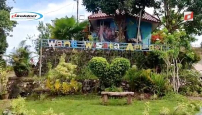 Wana Wisata Api-Api, Melihat Penajam Paser Utara