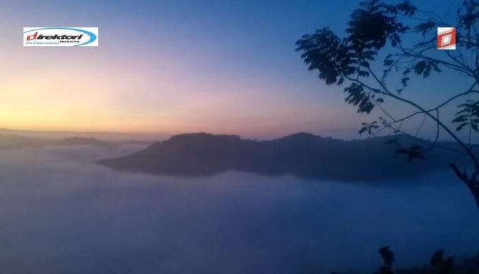 Watu Mabur Mangunan, Rasakan Cantiknya Tempat Camping Estetik di Bantul