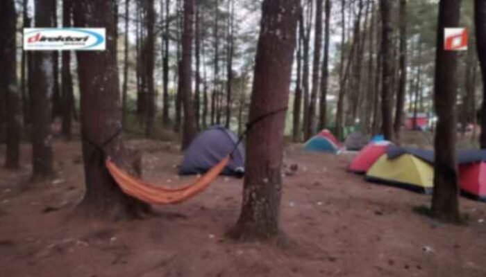 Daerah Lembanna, Melihat Keelokan Rimba Pinus yang Mengagumkan di Gowa