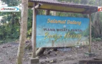 Pantai Banyu Meneng, Surga Bahari Terselinap Yang Eksotik di Malang