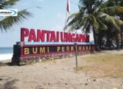 Pantai Ungapan, Daya tarik Pantai Cantik Yang Eksotik di Malang