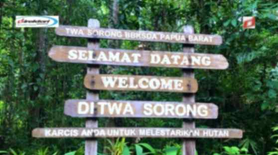 Sarana Wisata yang Ada di Taman Wisata Alam Sorong