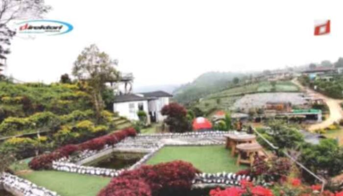 Silancur Highland, Tujuan Wisata Alam yang Hits di Magelang
