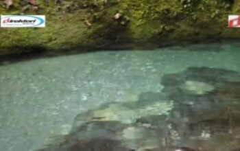 Air Terjun Pelaruga, Surga Terselinap di Langkat Dengan Daya tarik Kolam Kekal