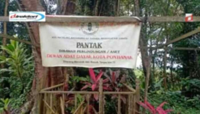 Aktivitas yang Menarik Dilaksanakan di Bukit Rel
