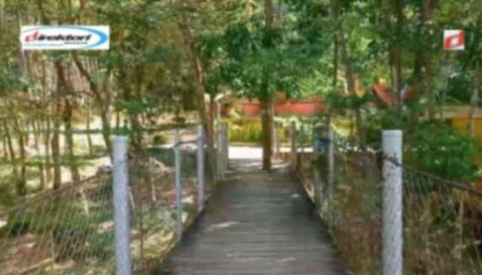 Aktivitas yang Menarik Dilaksanakan di Taman Gunung Asri