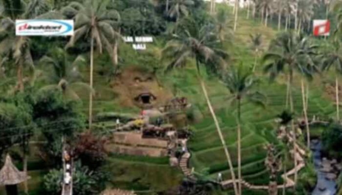 Alas Harum Bali, Daya tarik Alam Eksotik Yang Hijau di Gianyar