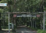 Arboretum Sylva Untan, Tujuan Wisata Pembelajaran Rimba Tropis di Kota Pontianak