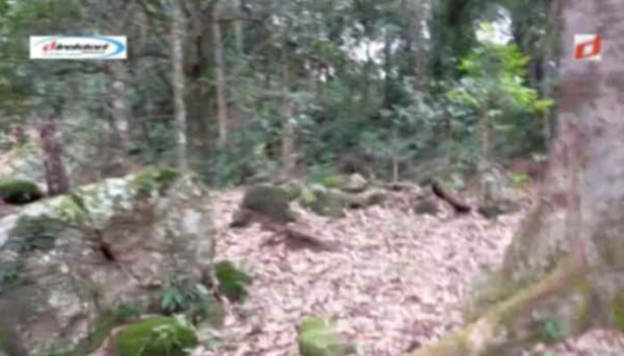 Daya Ambil yang Dipunyai Bukit Rel Pontianak