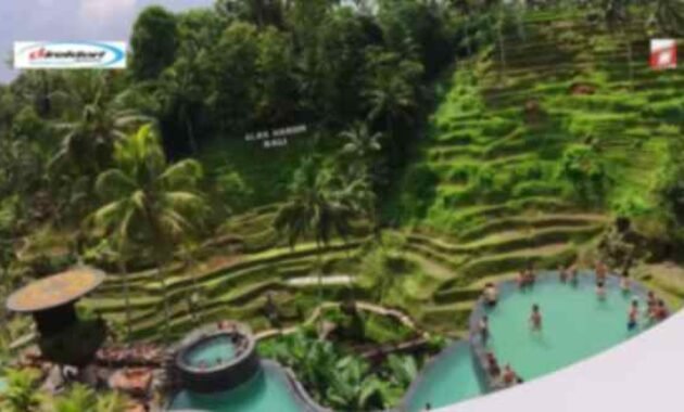 Daya Ambil yang Dipunyai Wisata Alas Harum Bali