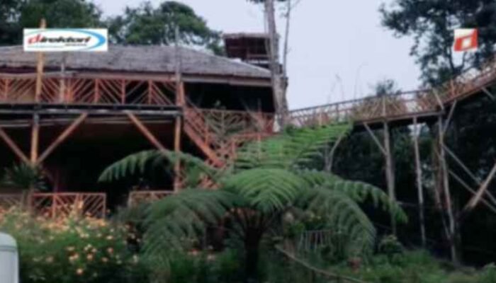 Rumah Pohon Habitat, Pemandangan Alam Langkat yang Mengagumkan
