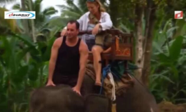 Sarana yang Ada di Teritori Wisata Bali Elephant Camp Badung