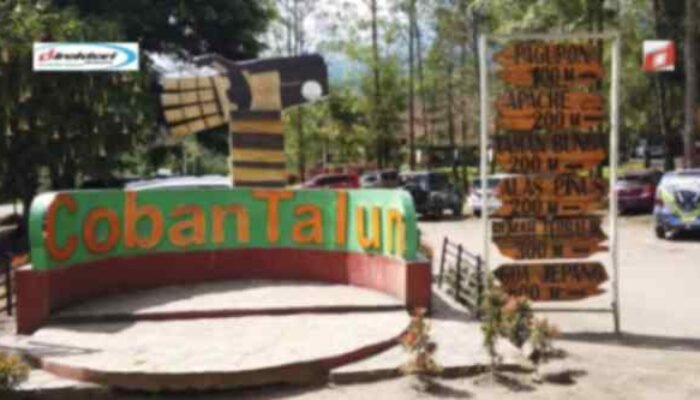Aktivitas yang Menarik Dilaksanakan di Wisata Coban Talun