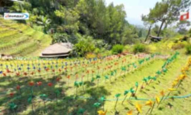 Aktivitas yang Menarik Dilaksanakan di Wisata Taman Bunga Batu Flower Garden