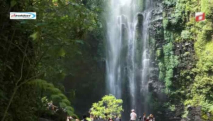 Kegiatan yang Menarik Dilaksanakan di Wisata Coban Rondo