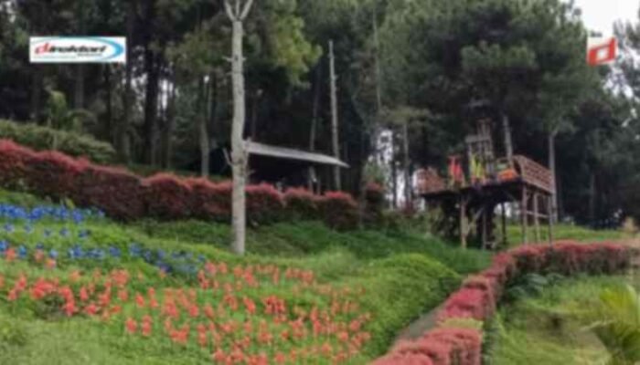 Nikmati Panorama Alam