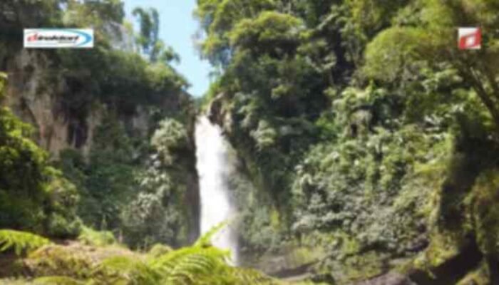 Photografi dan Videografi