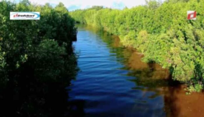 Sarana yang Ada di Teritori Rimba Mangrove Setapuk Besar Singkawang