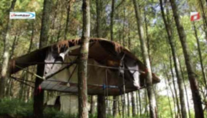 Tempat untuk Kemping