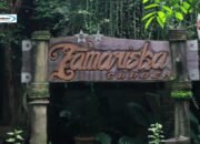 Tamariska Garden, Tempat Wisata Hebat dengan Pemandangan Alam Cantik di Bontang