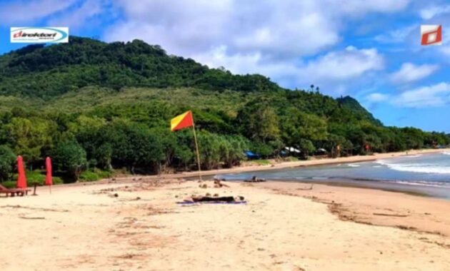 Aktivitas yang Menarik Dilaksanakan di Wisata Pulau Merah