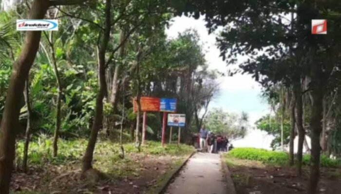 Alamat dan Jalur Ke arah Lokasi Wisata Taman Nasional Alas Purwo
