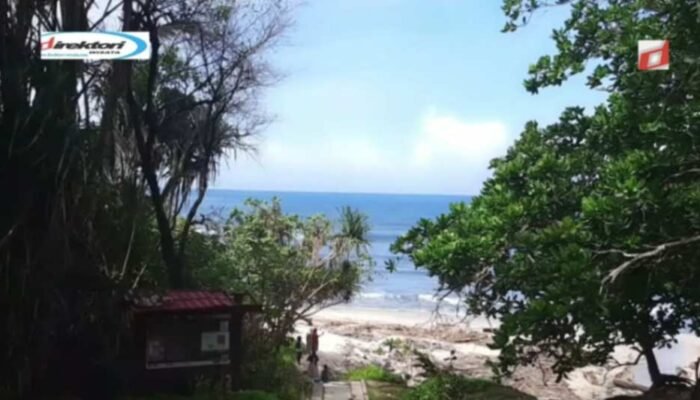 Sarana yang Ada di Teritori Wisata Taman Nasional Alas Purwo