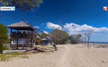 Pantai Manikin, Pantai Pasir Putih dengan View Rimba Mangrove Yang Hijau di Kupang