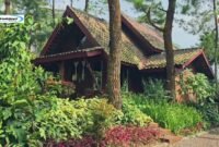 Pondok Rasamala, Pemondokan Kekinian dengan Pemandangan Alam Mempesona di Bogor