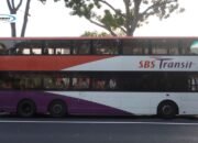 Cara Naik Bus di Singapura Untuk Perjalanan Wisata
