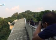 Henderson Waves Bridges Singapore: Jembatan Tertinggi dan Terindah di Singapura