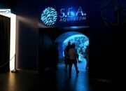 Menelusuri Dunia Bawah Laut S.E.A Aquarium Resorts World Sentosa Singapura