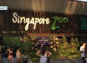 Singapore Zoo; Kebun Binatang di Singapura