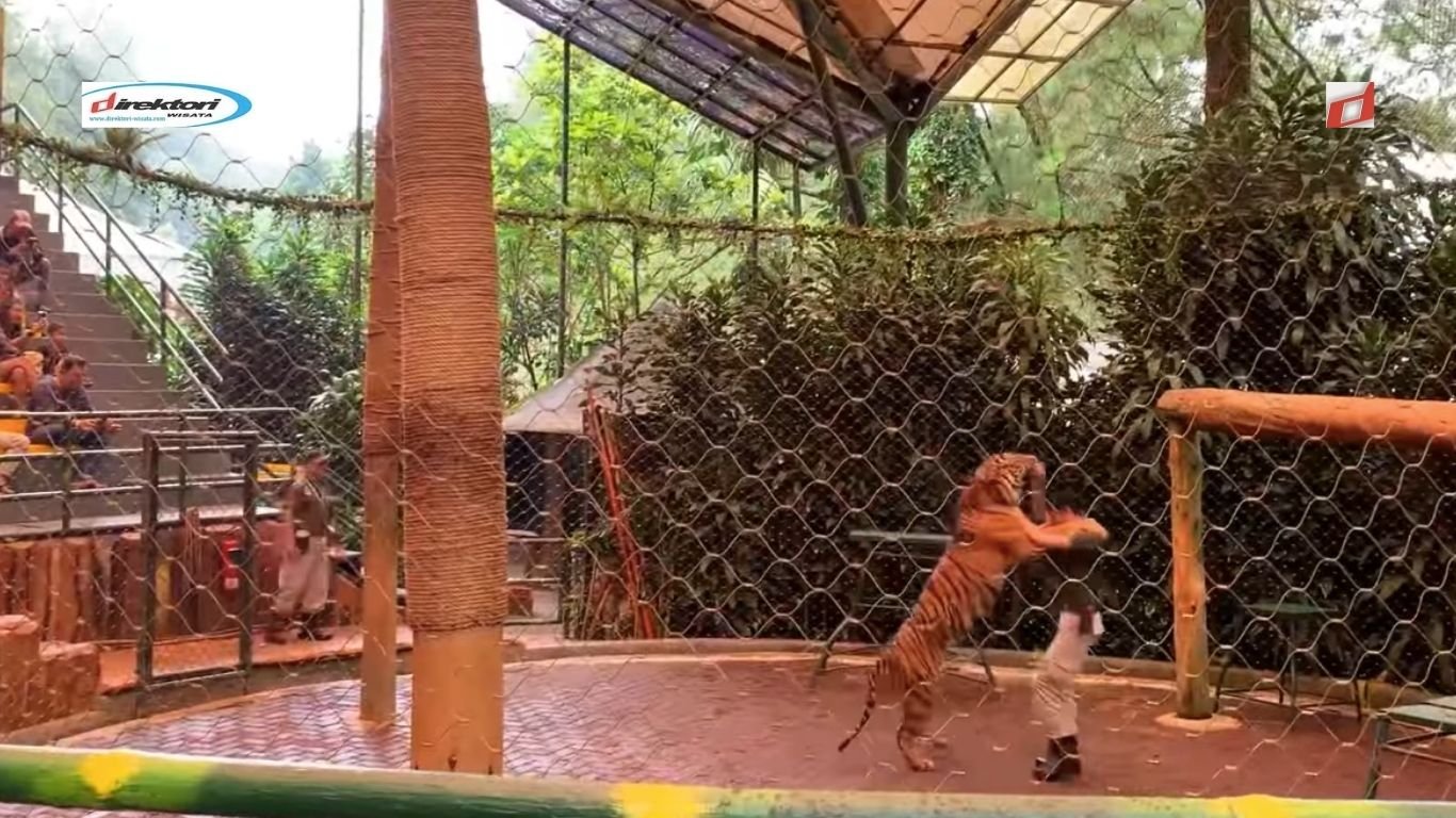 Taman Safari Bogor, Indonesia; Pelestarian Satwa dan Wisata Pembelajaran Favorite Keluarga di Puncak