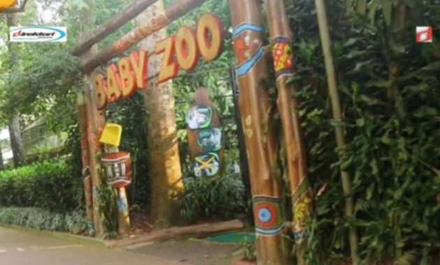 Tempat Baby Zoo