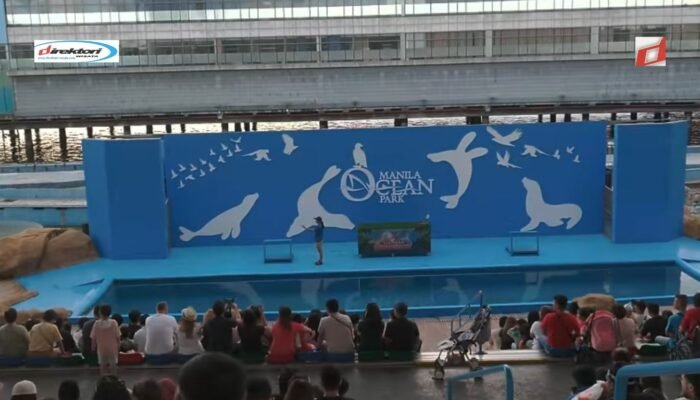 Manila Ocean Park: Jelajahi Keajaiban Laut