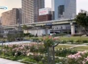 Taman Nakanoshima: Kunjungi Taman Mawar Rahasia Osaka di Jepang