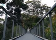 The Habitat Penang Hill, Daya tarik Matahari Tenggelam dan Rimba Hujan Prasejarah di Malaysia