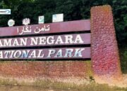 Explore the Natural Beauty of Taman Nasional Taman Negara