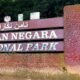 Explore the Natural Beauty of Taman Nasional Taman Negara