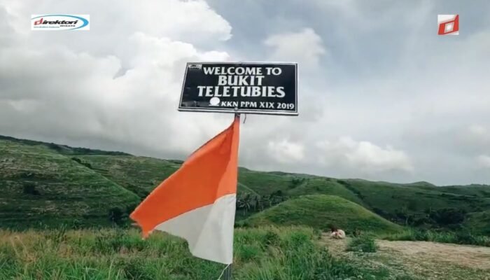 Teletubbies Hills, Nikmati Pemandangan Wisata Alam Eksotik Diketinggian di Nusa Penida
